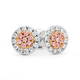 Desert Rose Earrings with pink diamonds from the Argyle mine EDJE029 PC2