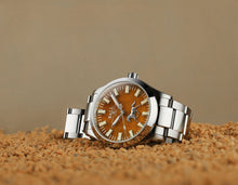 Load image into Gallery viewer, Ball Watch Engineer II Galloping Horse 40mm