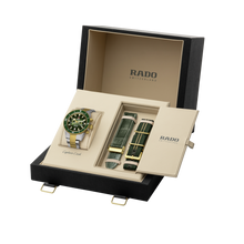 Load image into Gallery viewer, Rado Captain Cook Automatic Chronograph Green 2 Tones