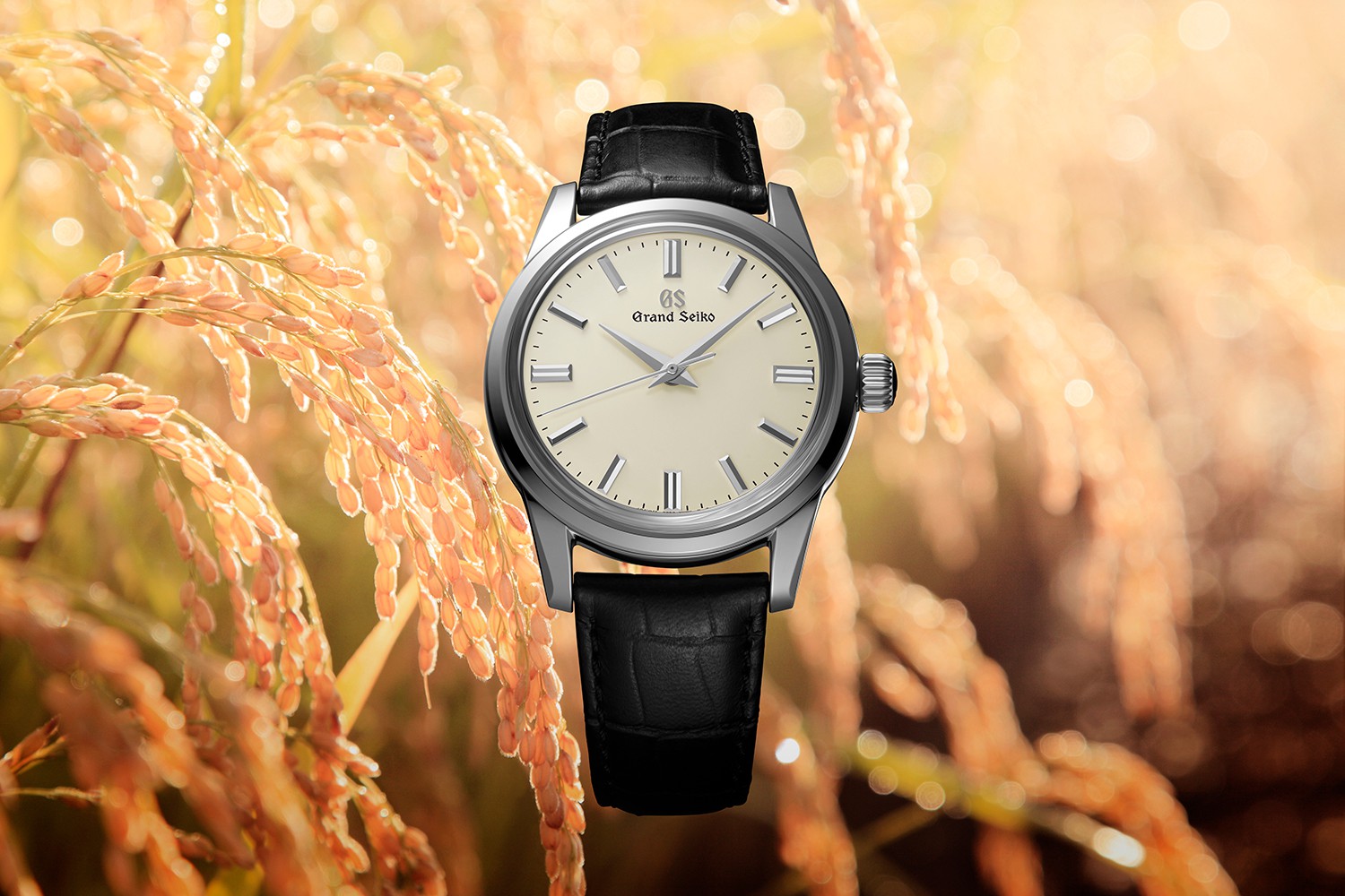 Grand seiko outlet sbgw231 price