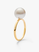 Load image into Gallery viewer, Autore Pearls 18k YG South Sea Pearl Timeless Ring