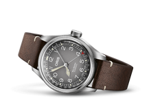 Load image into Gallery viewer, Oris X Cervo Volante Grey