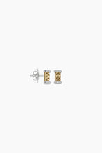 Load image into Gallery viewer, Fope Essentials Yellow and White Gold Earrings with Diamonds